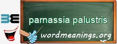 WordMeaning blackboard for parnassia palustris